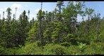 Terra Nova - Blue Hill (handheld)