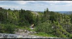 Terra Nova - Ochre Hill