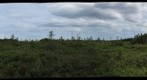 Gros Morne - Berry Hill Bog