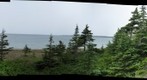 Gros Morne - Shallow Bay, forest