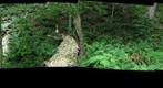 Cape Breton Highlands - Lone Shieling