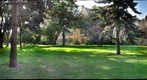St. Thomas University, St. Paul, MN