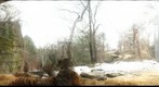 zoo 3