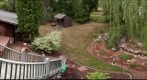 Jean and John's back yard