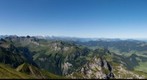 Fluebrig