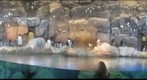 Penguin Exhibit