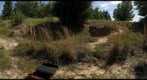 Stock and swimming tank