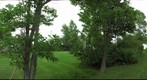 Windy Bluff - August 2009