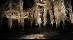 Hylozoic Grove