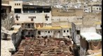 Medieval Tannery of Fes, Morocco