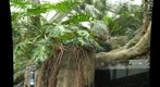 zoo 12