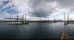 Homer Harbor Larger Boats