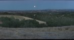 Kaleidos Vineyard 