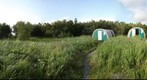 Hallo Bay Bear Camp 2