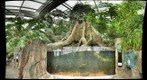 zoo 13