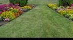 Fun with Flowers