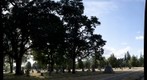 Hillsboro Graveyard