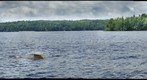 Thompson Lake, Poland, Maine
