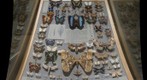 Butterfly and Moth case in Carnegie Museum of Natural History