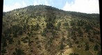 Colorado Goat viewing area