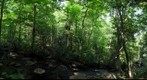 Ruisseau aux sept chutes - Little river