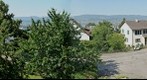 View out of the Window