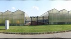 whereRU: NJAES Research Greenhouses