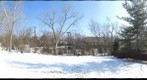 My back yard part deux