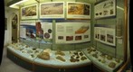 Budleigh Salterton Museum