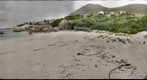 Boulders Park Penguin Colony, South Africa
