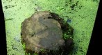 Byron Stump 2
