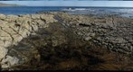Broadbench, Purbeck Marine Wildlife Reserve
