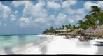 Tamarijn in Aruba
