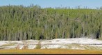 Geyser Hill, Old Faithful Area, Yellowstone National Park