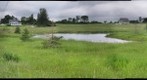 Field 2