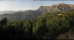 Paragliders