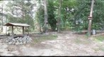 Grandma's Yard