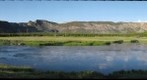 Morning Mist, Madison River, Yellowstone National Park