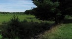 Kejimkujik - Grafton Lake