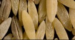 Natural Grains, 1.4 Gigapixel Macro Photograph