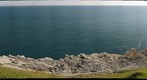 Lulworth Fossil Forest (2)