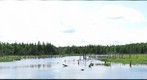 Fundy - Caribou Plain