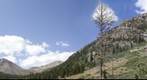 Colorado Mountain