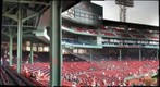 mini fenway 