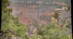 Grand Canyon - North Rim (SE view from Point Royal)