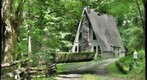 Cabin Boone NC