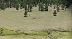 Headwaters East Fork Northern Arizona