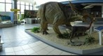 Triceratops and friends