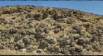 Palagonite and Pillows