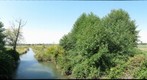 Spencer Island 1
